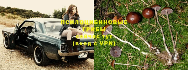 спиды Бородино