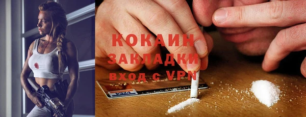 спиды Бородино