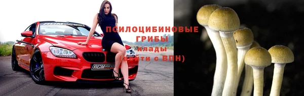 герыч Бронницы