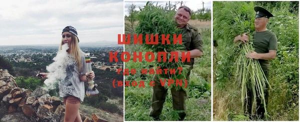 спиды Бородино