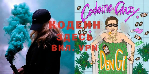 спиды Бородино