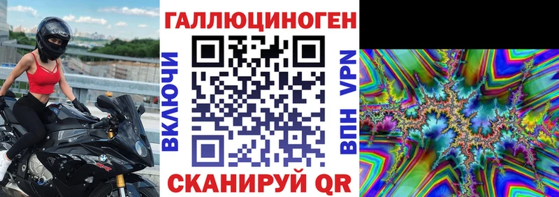 Псилоцибиновые грибы Psilocybe  Кинешма 